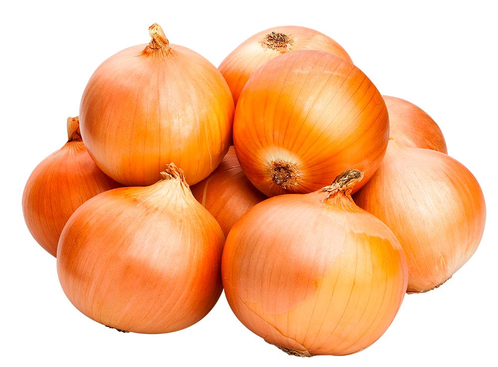 CEBOLA SECA KG